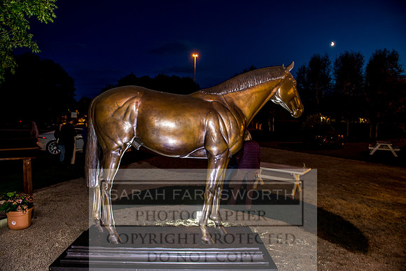 Goffs Orby 2017-494