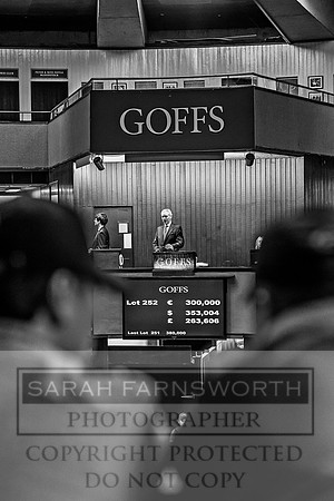 Goffs Orby 2017-621