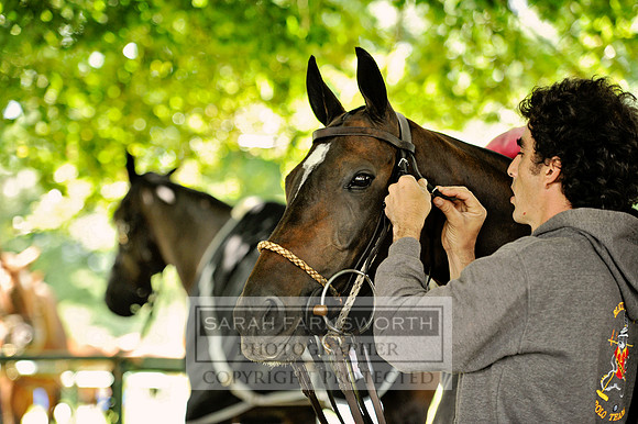 Cirencester Polo CF3 176