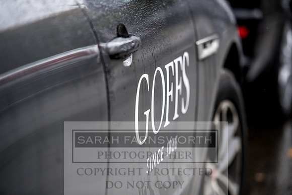 Goffs Orby 2017-713