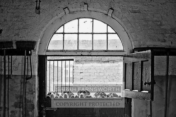 Brocklesy Estate CF6 287 bw