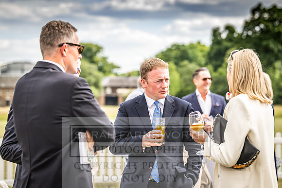 Goffs London Sale 2022-255