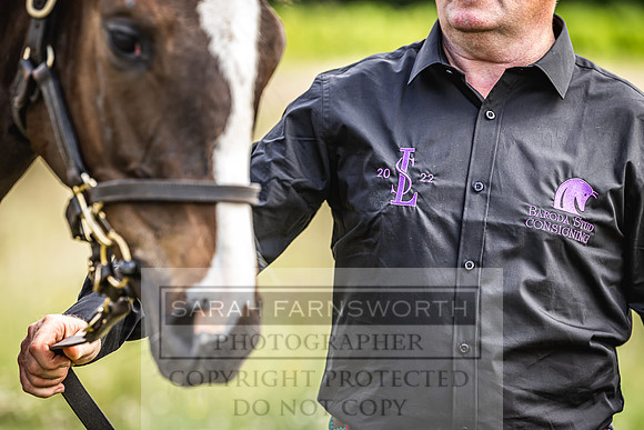 Goffs London Sale 2022-103
