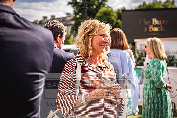 Goffs London Sale 2022-352