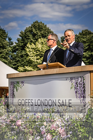 Goffs London Sale 2022-452