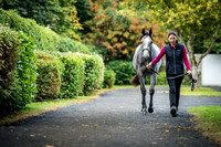 Goffs Orby 2017-14