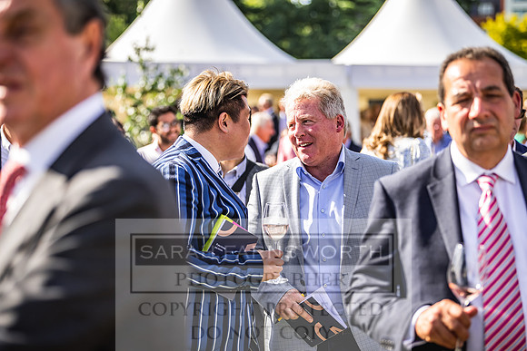 Goffs London Sale 2022-475