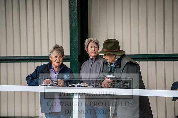 Goffs Orby 2017-647