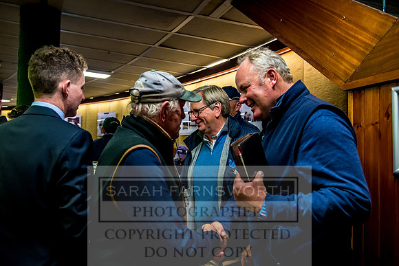 Goffs Orby 2017-369