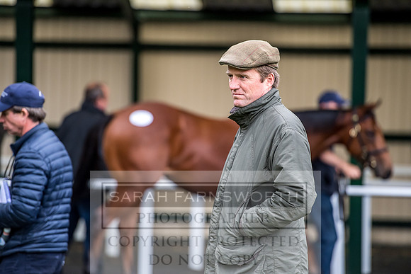 Goffs Orby 2017-654
