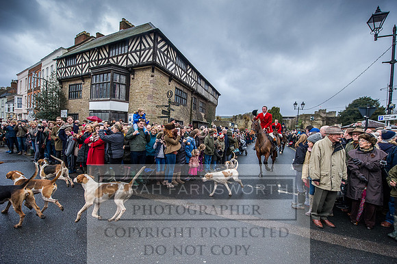 Ludlow 261215-99