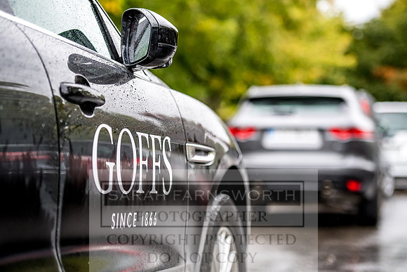 Goffs Orby 2017-716