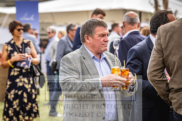 Goffs London Sale 2022-327