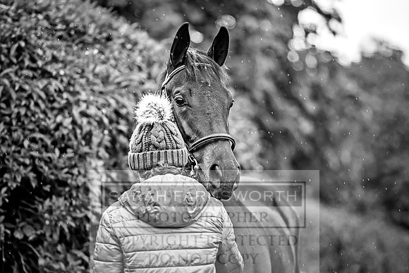 Goffs Orby 2017-561