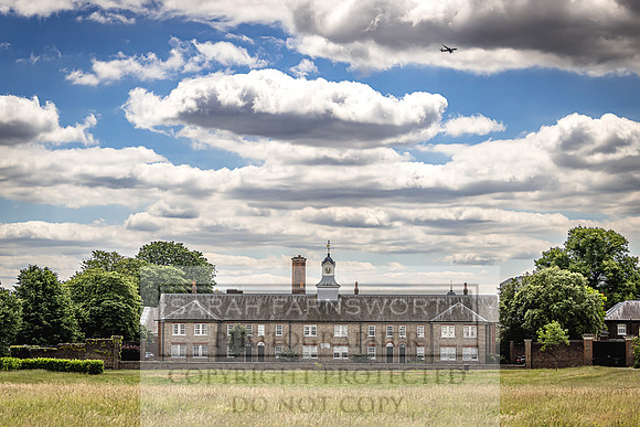 Goffs London Sale 2022-2