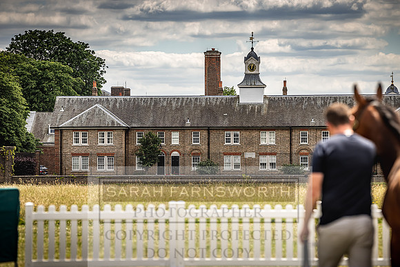 Goffs London Sale 2022-15