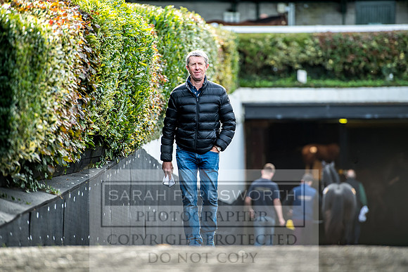 Goffs Orby 2017-148