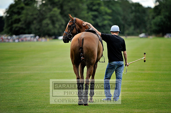 Cirencester Polo CF3 718