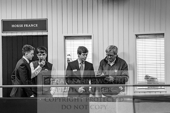 Goffs Orby 2017-203