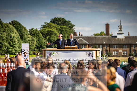 Goffs London Sale 2022-501