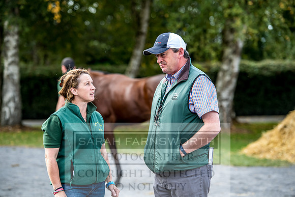 Goffs Orby 2017-282