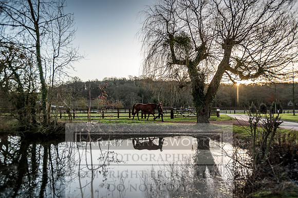 Tweenhills January 2019-80