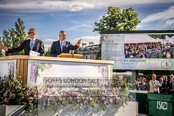 Goffs London Sale 2022-517