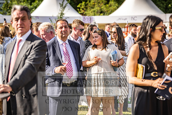 Goffs London Sale 2022-473