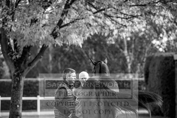 Goffs Orby 2017-176