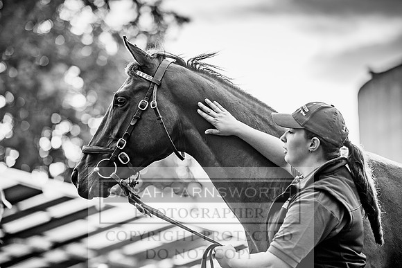 Goffs Orby 2017-162