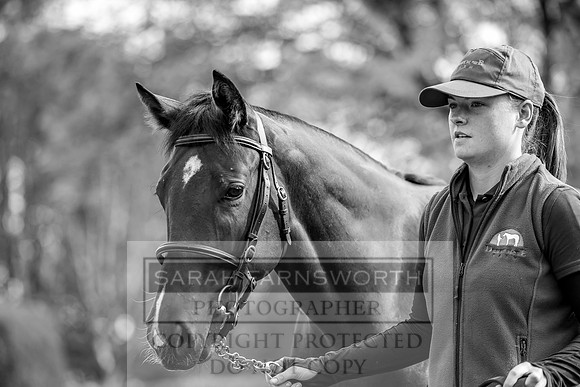 Goffs Orby 2017-188