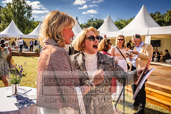 Goffs London Sale 2022-531