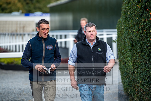 Goffs Orby 2017-289
