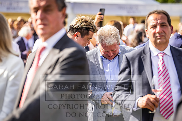 Goffs London Sale 2022-474
