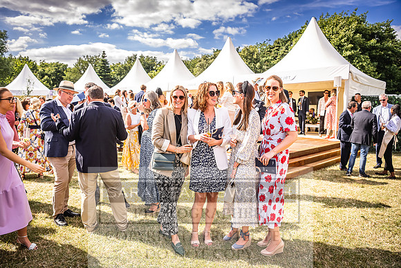 Goffs London Sale 2022-387