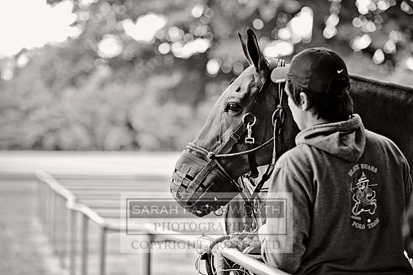 Cirencester Polo CF2 263 bw