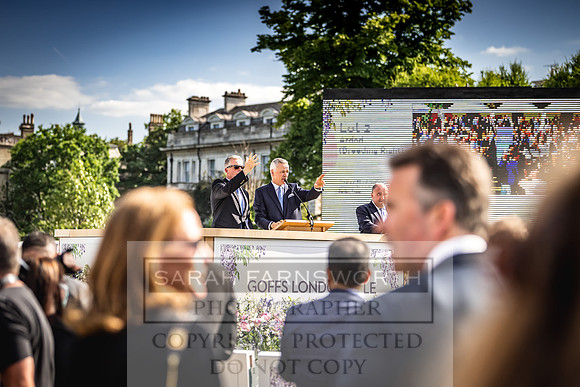 Goffs London Sale 2022-465