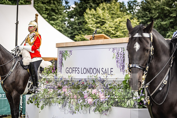 Goffs London Sale 2022-184