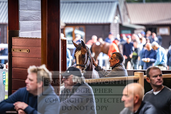 Goffs UK PY24-90