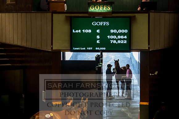 Goffs Orby 2017-216