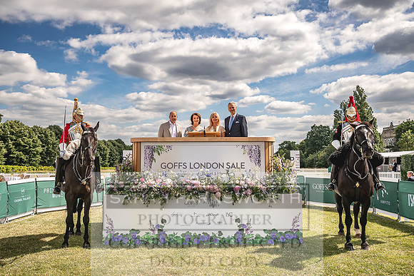 Goffs London Sale 2022-164