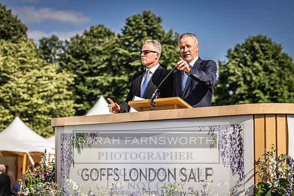 Goffs London Sale 2022-451