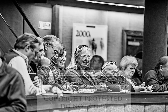 Goffs Orby 2017-171