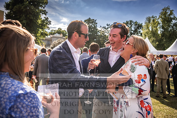 Goffs London Sale 2022-570
