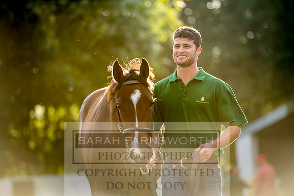 Goffs Orby 2017-354