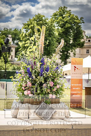 Goffs London Sale 2022-42
