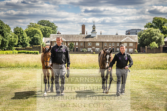 Goffs London Sale 2022-89