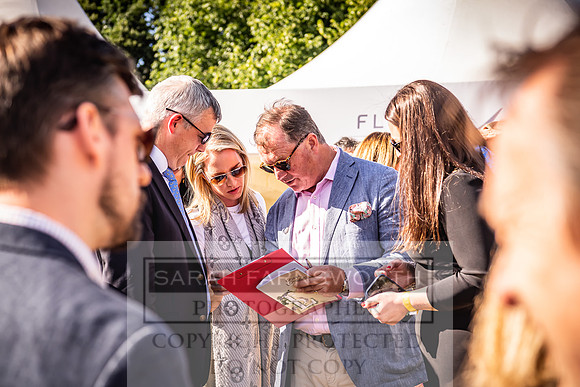 Goffs London Sale 2022-536