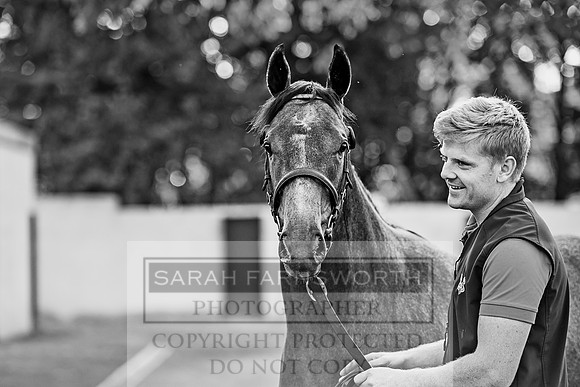 Goffs Orby 2017-364