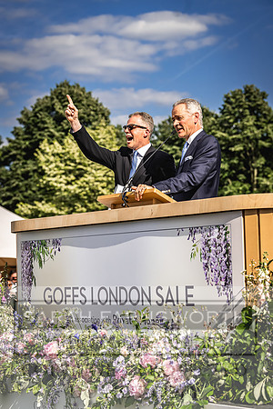 Goffs London Sale 2022-454